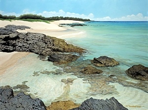 Brian Marshall White - Beach At Waikaloa