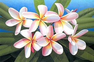 Brian Marshall White - Rainbow Plumeria