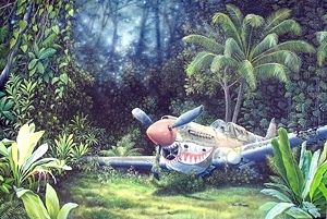 Artist Randy Nagle - Aviation Art From The South Pacific