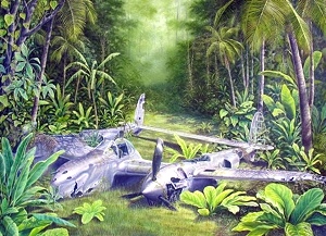 Artist Randy Nagle - Aviation Art From The South Pacific