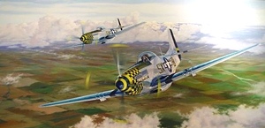 Artist Randy Nagle - Aviation Art From The South Pacific