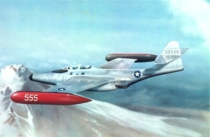 Randy Nagle - P38 Lightning