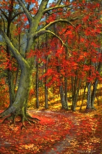 Frank Wilson - Tall Pines From Mountain Trail