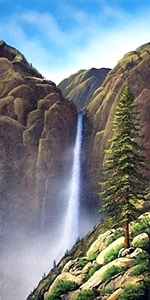 Wilderness Waterfall - Frank Wilson