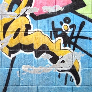Graffiti Bull 2 - Nolan Haan