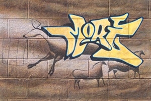 Graffiti Bull 2 - Nolan Haan