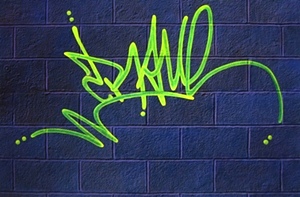 Graffiti Bull 2 - Nolan Haan