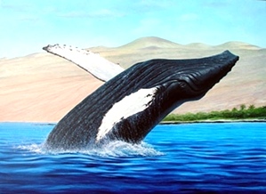 Humpback - Brian Marshall White