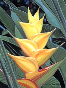 Yellow Heliconia - Brian Marshall White