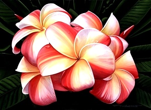 Kona Beach Shack - Brian Marshall White