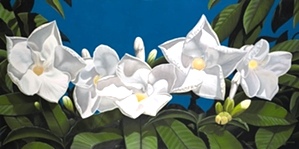 Gardenia - Brian Marshall White