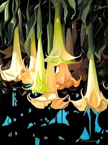 Gardenia - Brian Marshall White