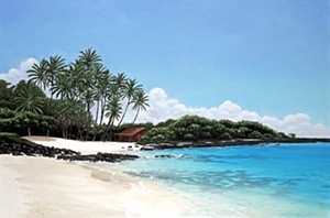 Kona Beach Shack - Brian Marshall White