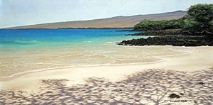 Maumai Beach - Brian Marshall White