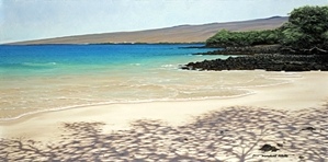 Kona Beach Shack - Brian Marshall White